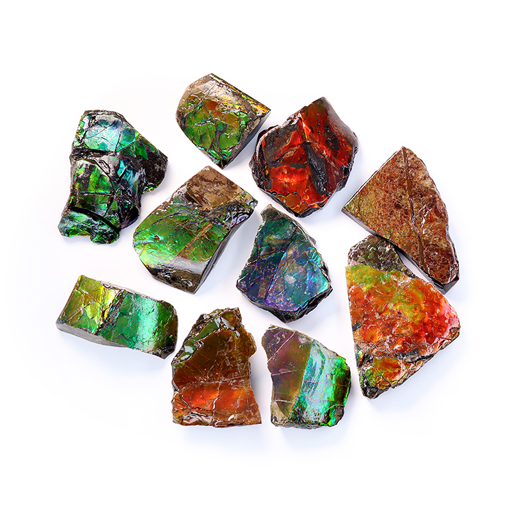 【標本】アンモライト