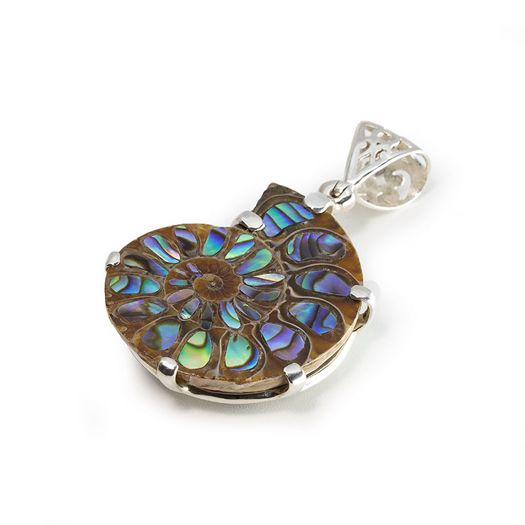 4/17発売：化石をジュエリーに仕立てたロマンあふれるアイテムを発売しました